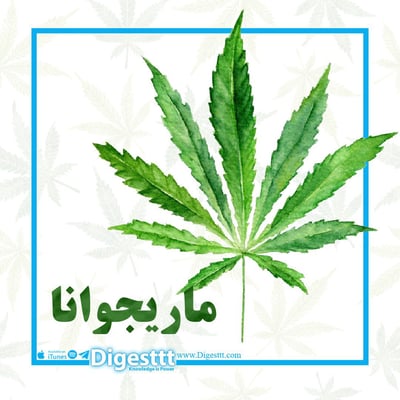 ماریجوانا